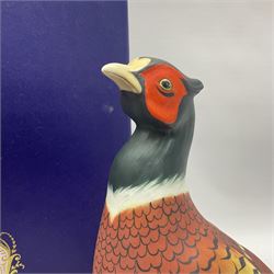 Royal Crown Derby Pheasant, signed by artist Lyndsey Selley, in original box, H38cm 
