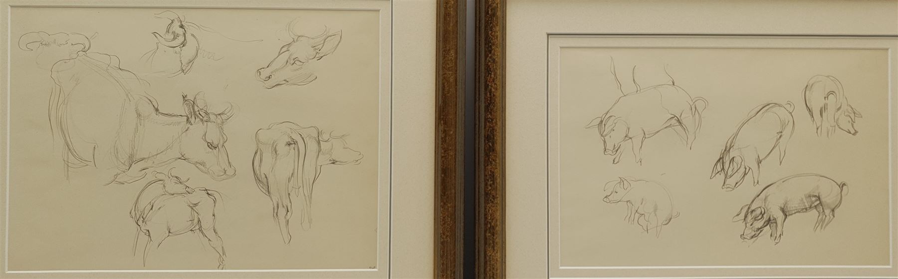 Constance Anne Parker (British 1921-2016): Studies of Bulls and Pigs, two pencil sketches unsigned 24cm x 34cm and 21cm x 32cm (2)