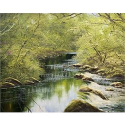 Terence 'Terry' Evans (British 1943-): 'River Teign Dartmoor - Devon', oil on canvas signed 60cm x 75cm