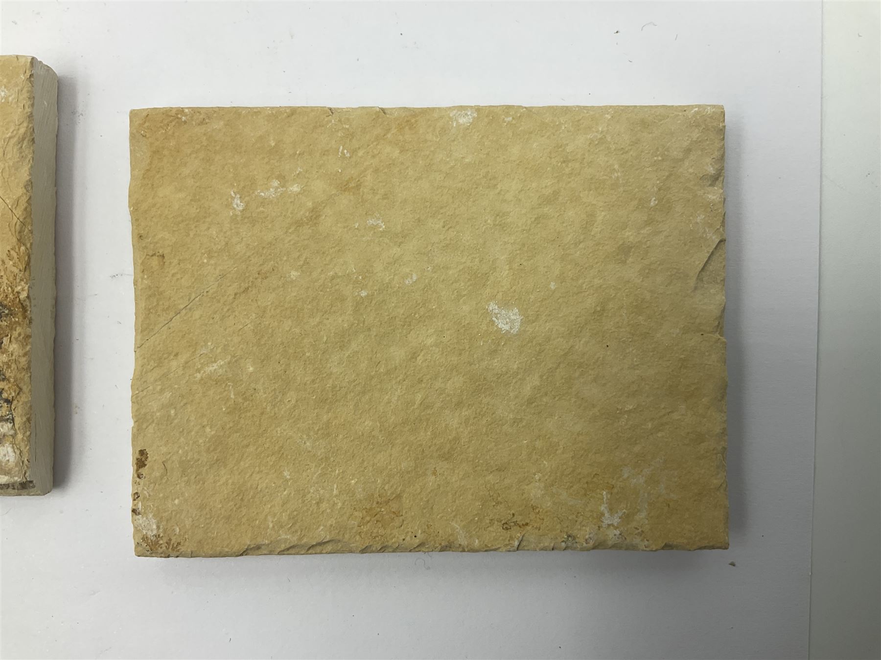 Six dendrite crystals each in an individual sandstone plaque, each plaque H6cm, L8cm