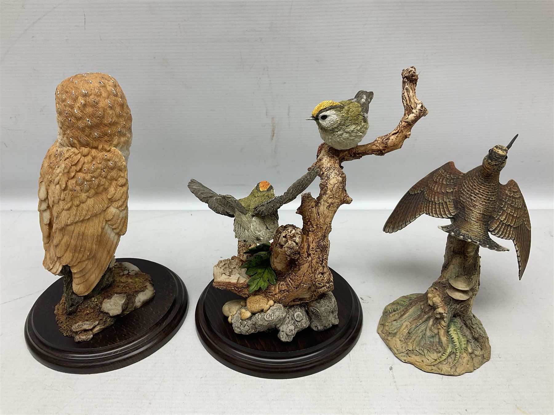 Quantity of Country Artists figures, comprising Woodland Visitors G800, Otter Family CA 552, Barn Owl CA 431, Wren CA 81, Mouse and Acorn CA784, Kingfisher - Broadway CA422, Early Days - Barn Owlets CA 720, together with two Border Fine Arts figures comprising Woodcock by James Harvey, 1985 and First Outing, Many with original boxes (9)