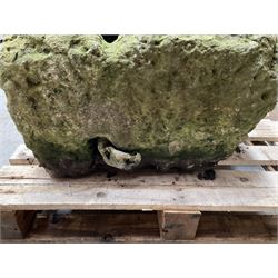 Large 19th century weathered rectangular stone trough