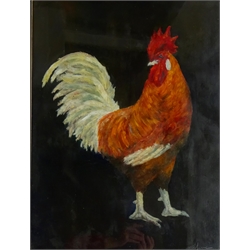  French School (20th century): Portrait of a Chicken, oil on paper indistinctly signed 70cm x 51cm  