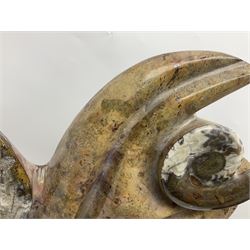 Goniatite sculpture, displaying two Goniatites within a polished and shaped matrix, age; Devonian period, H56cm