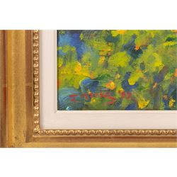 John Mackie (Scottish 1953-): 'The Village of Minerva', oil on canvas signed and dated '99, titled verso 34cm x 44cm 