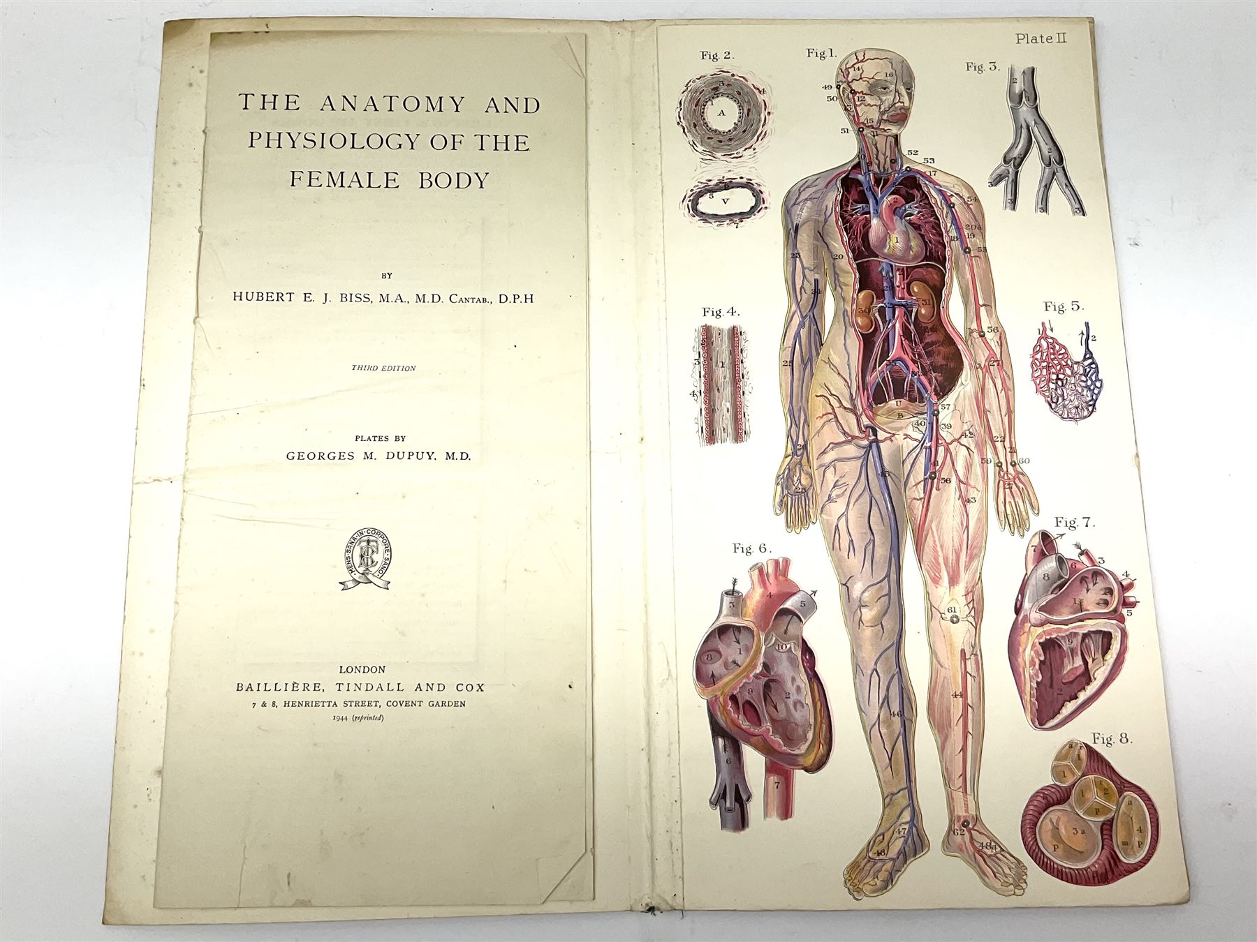 Bailliere's Popular Atlas of the Anatomy and Physiology of the Female Human Body, together with disbound medical books and works of Yorkshire interest, to include Beasley: The Book of Prescriptions, Beasley: Druggist's Receipt Book, Robinson's New Family Herbal, Hartley: Yorkshire Puddin', etc 