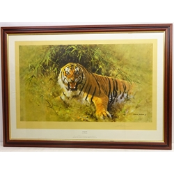  'Tiger Fire', limited edition colour print No.763/850, signed in pencil by David Shepherd (British 1931-2017) pub. Solomon & Whitehead 79cm x 115cm   