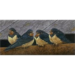 Robert E Fuller (British 1972-): 'Swallow Fledglings', limited edition colour print signed and numbered 127/850 in pencil 15cm x 31cm