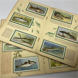 Quantity of Kensitas silk cigarette cards depicting world flags, together with albums of fish cigarette cards and quantity of crowns to include boxed examples