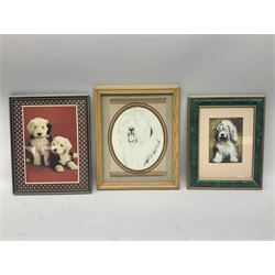 English School (20th century): Old English Sheepdog Puppy, watercolour signed and dated together with a box of prints and photos also relating to Old English Sheepdogs