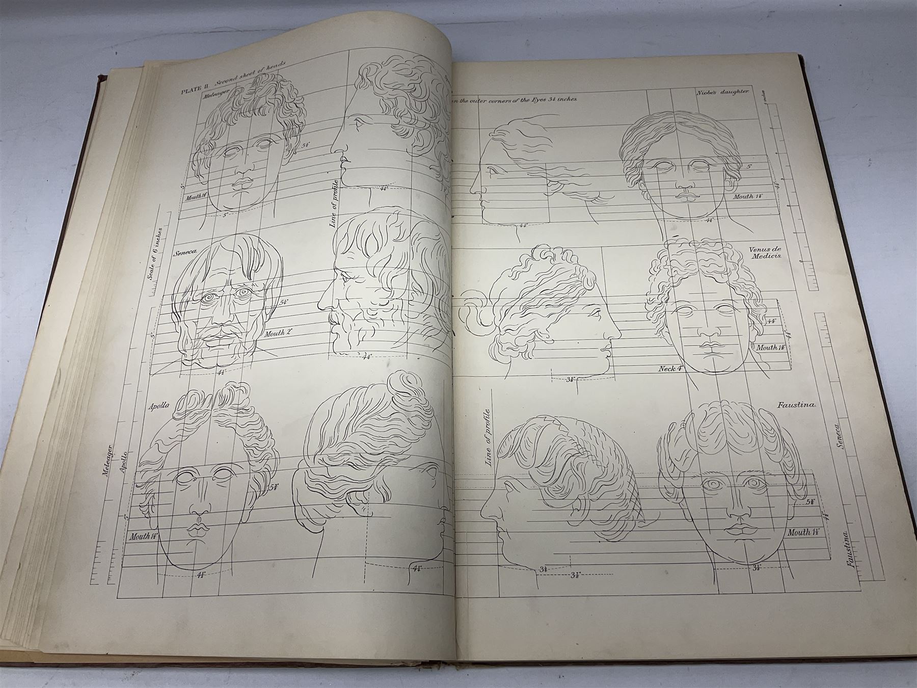 Muybridge, Eadweard; The Human Figure in Motion, London, Chapman & Hall Ld, Art, Wright, J Wright; The Sculpture and Art Students' Guide to the Proportions of the Human form, plates reproduced by John Sutcliffe, Luard L.D; Horse and Movement, London Cassell and Company ltd, with eight plates in colour and twenty-four in half-tone, together with other folious    
