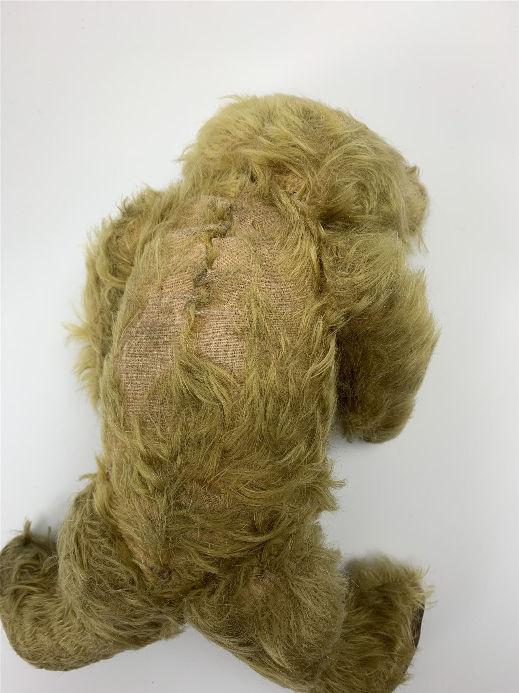 Early 20th century English teddy bear, WW1 period, with wood wool filled mohair body, fixed head with one boot button eye and vertically stitched nose and mouth and jointed limbs with cloth paw pads H16