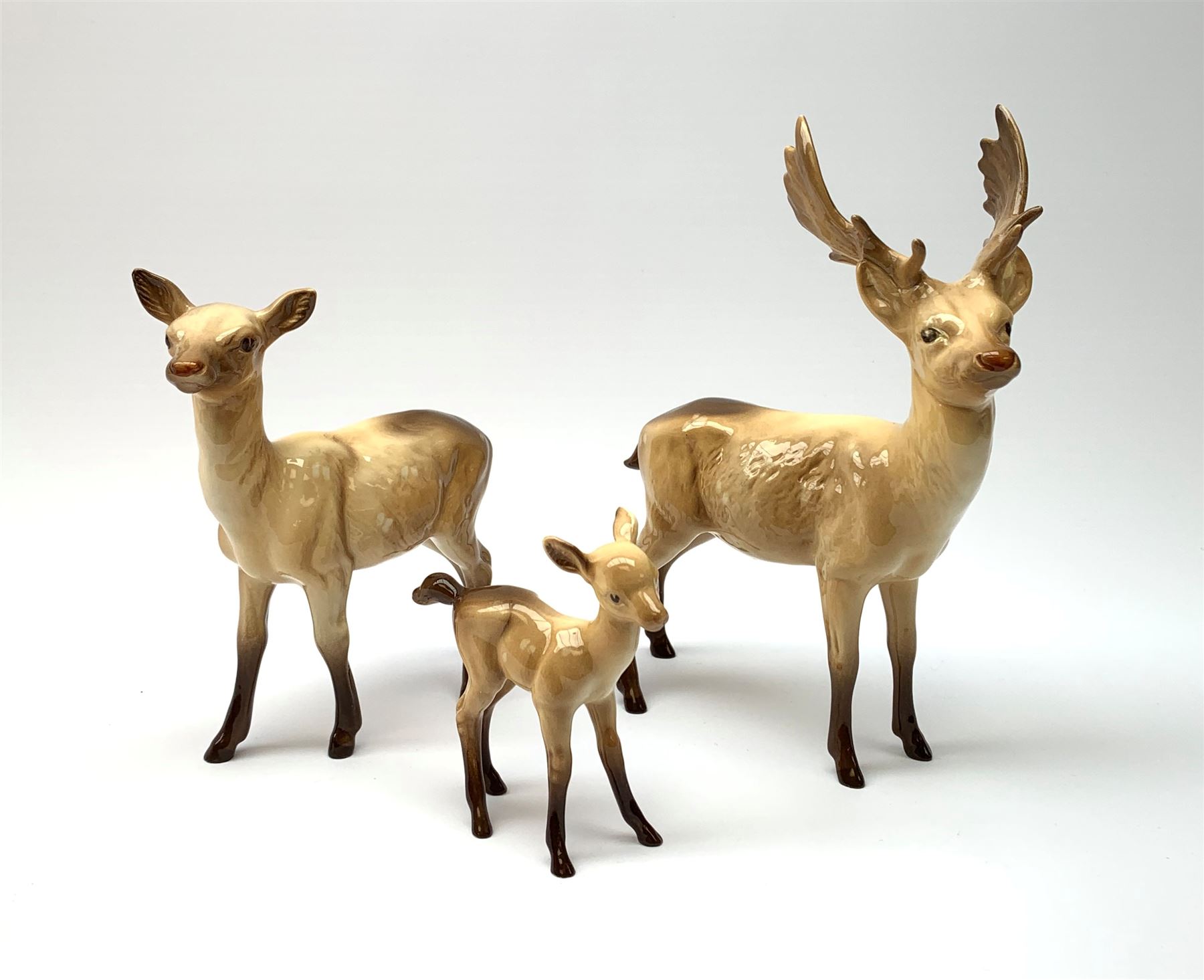 A Beswick Deer family, comprising Stag, Doe and Fawn. (3).  