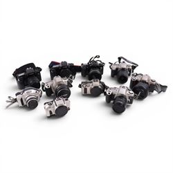 Ten digital cameras, including seven Canon EOS examples, Nikon F65, Nikon Pronea and Nikon F75