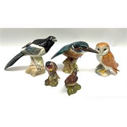 A collection of Beswick, including kingfisher H12cm, magpie H14cm, owl H11.5cm, goldfinch H8cm and wren H6.5cm. 