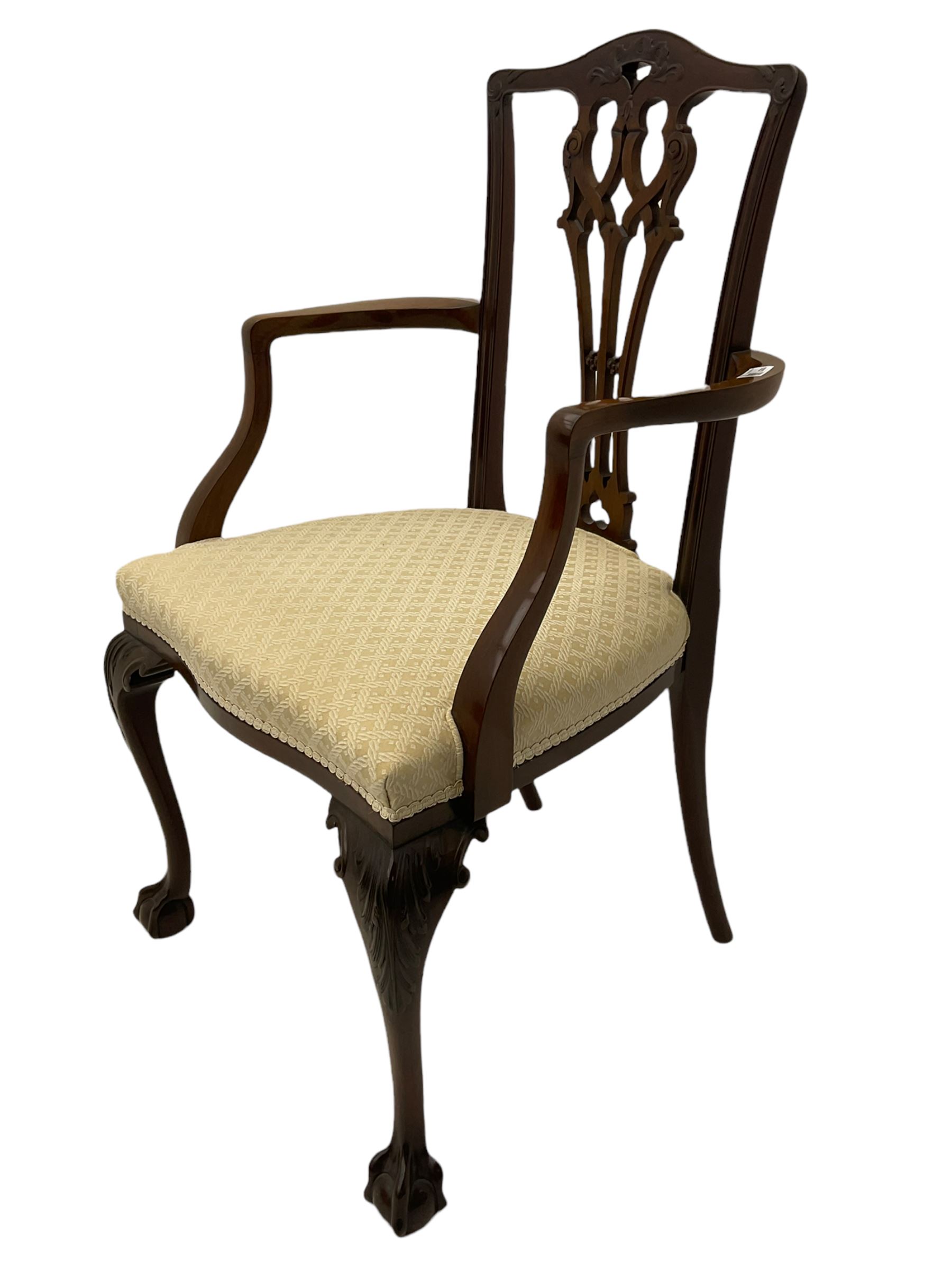 Chippendale design mahogany framed armchair, ball and claw feet, upholstered seat