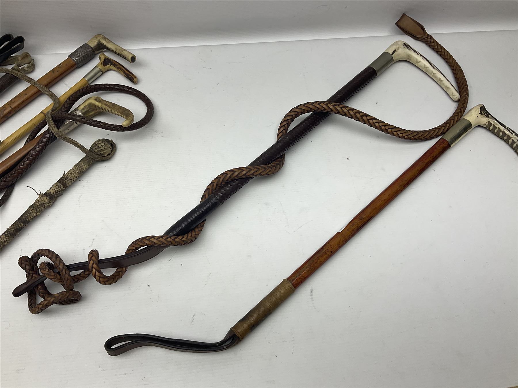 Collection of hunting crops and riding whips, including horn handle examples with silver cuffs