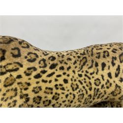 Steiff studio Leopard, with original tag and button to ear, in a standing position with plastic eyes and synthetic whiskers, H62cm, L120cm. 