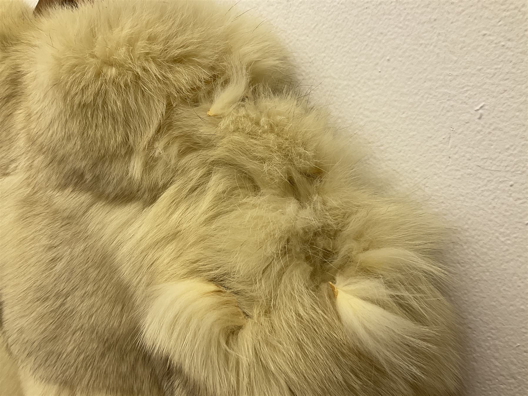 White Arctic Fox fur coat with loop fasteners 
