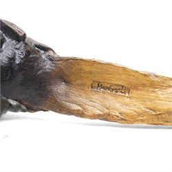 Cold painted bronze formed as an alert Pheasant, W30cm