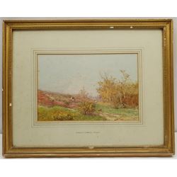 James Matthews (British 19th/20th century): 'Cowshot Common Surrey', watercolour signed, inscribed on framer's label verso 20cm x 30cm