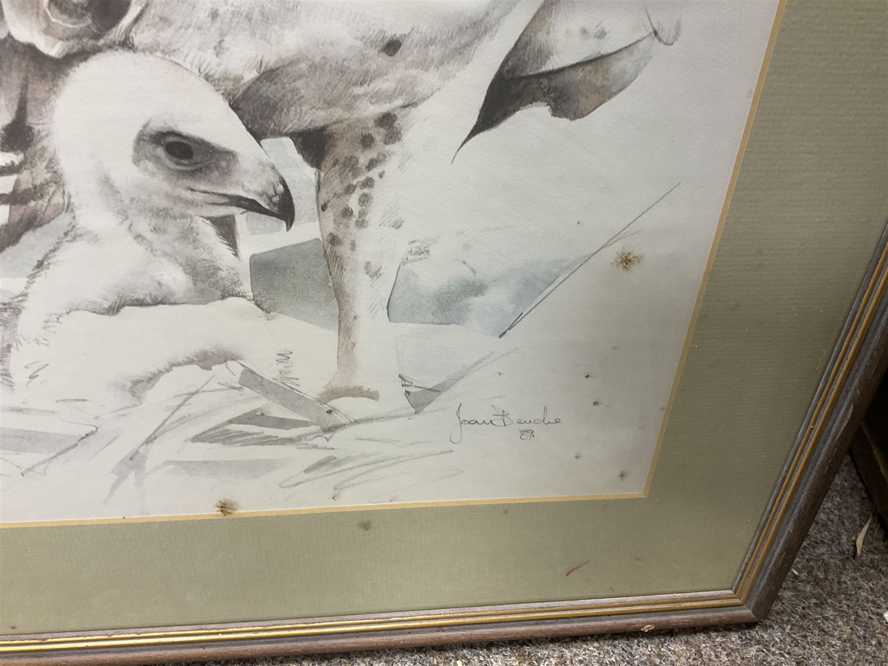 After Joan Beuche (South African 20th century) Eagles, set of six coloured prints (6)