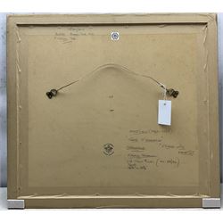 Tighe O'Donoghue (American 1942-2023): 'Echoing Green', etching with aquatint signed titled and numbered 28/30, 37cm x 45cm 