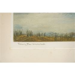 Edward Francis Wells (British 1876-1952): 'Evening Flow - Derwentwater' and 'Ullswater', two etchings with aquatint signed and titled in pencil, stamped with Rembrandt Guild Artists Proof blindstamp; D le Roux (20th century): Mountain Valleys, pair of watercolours signed, together with three other pictures including York-themed etchings max 22cm x 30cm (7)