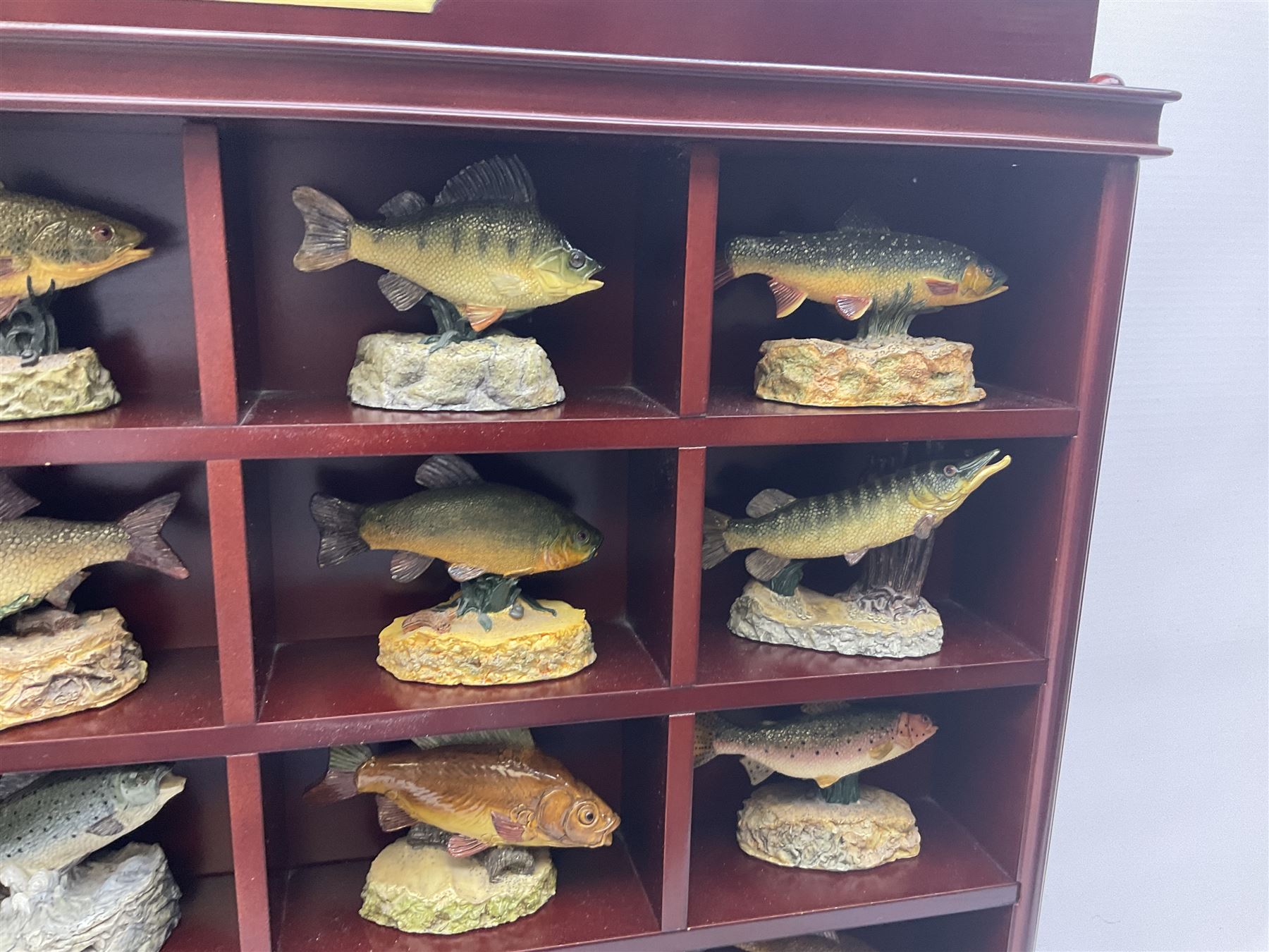 Twenty Four Danbury Mint models of fish, The Angler's Showcase, each with accompanying information card, in wooden wall mounted display shelf, with title plaque, display shelf H61cm L54cm