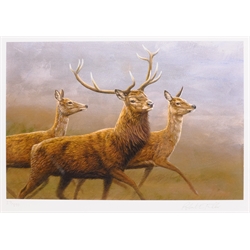 Robert Fuller (British 1972-): Running Deer, limited edition colour print signed and numbered 37/850 in pencil 24cm x 33cm
