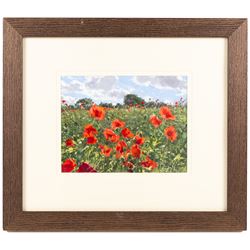 Bruce Mulcahy (West Yorkshire 1955-): Field of Poppies, gouache signed and dated '07, 19.5cm x 25.5cm