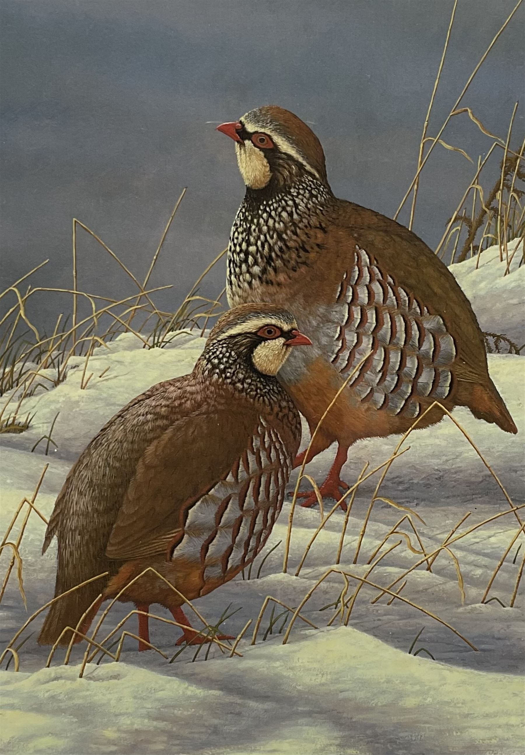 Robert E Fuller (British 1972-): Red Legged Partridges in Snow, limited edition colour print signed and numbered 15/850 in pencil 30cm x 22cm