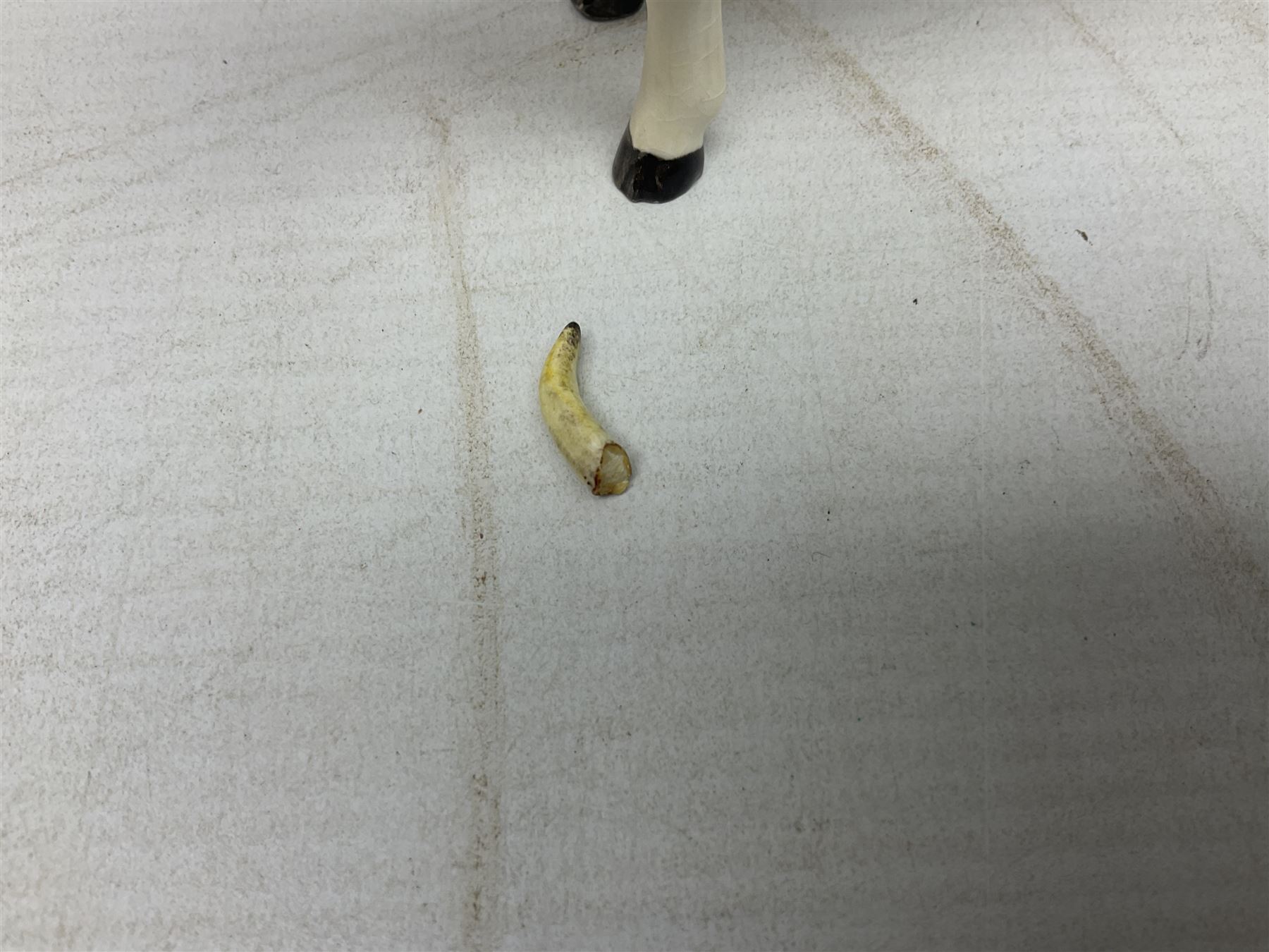 Five Beswick figures of cattle Comprising Ayrshire Bull Ch Whitehill Mandate, no 1454B, three Ayrshire Cow Ch Ickham Bessie, no 1350 and Ayrshire Calf, no 1249B, all with printed marks beneath