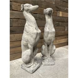 Pair of cast stone seated greyhounds, on square plinth base