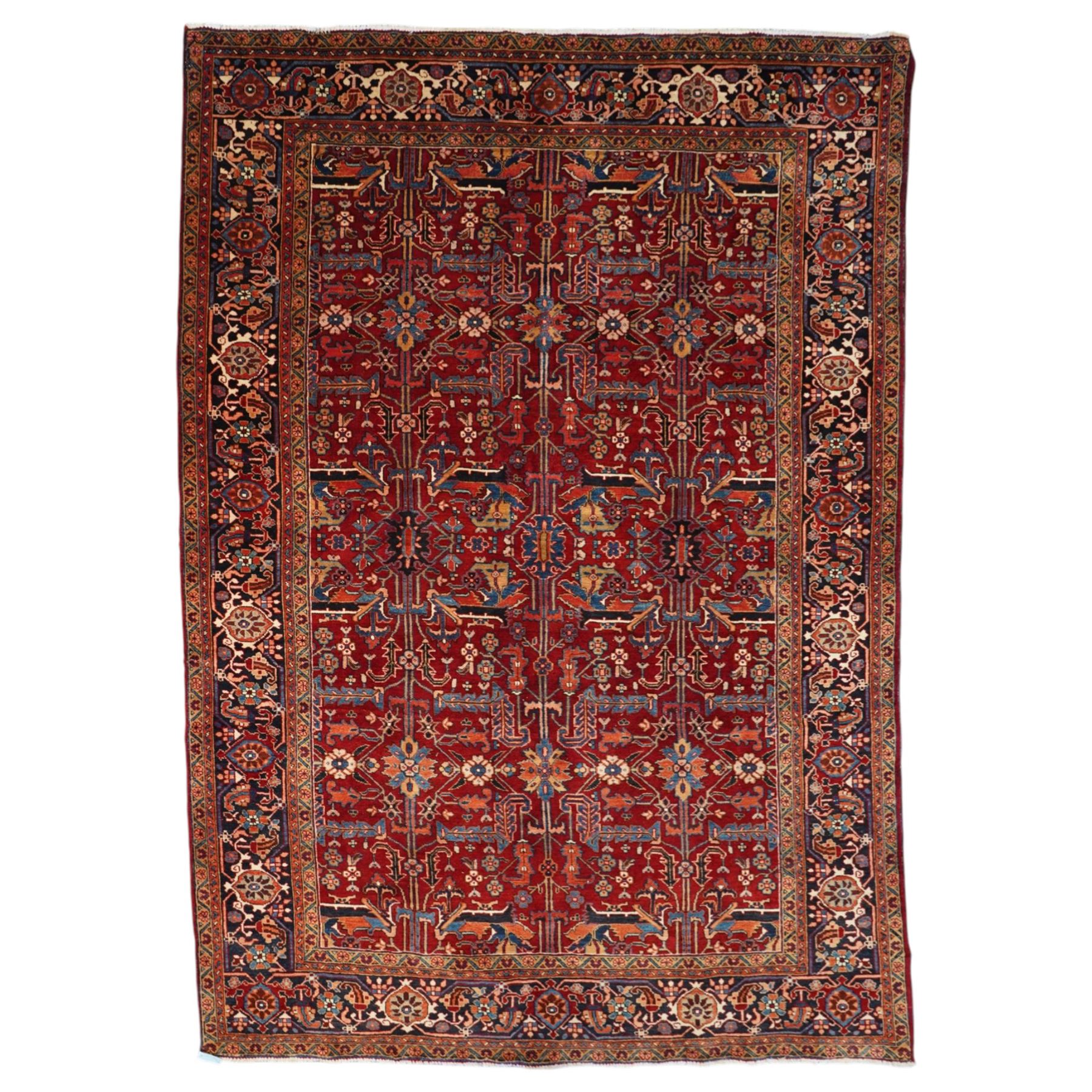 North West Persian Karadja hand-knotted carpet, deep red field decorated with an all-over lattice design of elongated geometric devices interspersed with rosettes and angular palmettes, enclosed by a dark indigo main border of stylized floral and geometric motifs between multiple guard stripes, with cotton fringe ends 