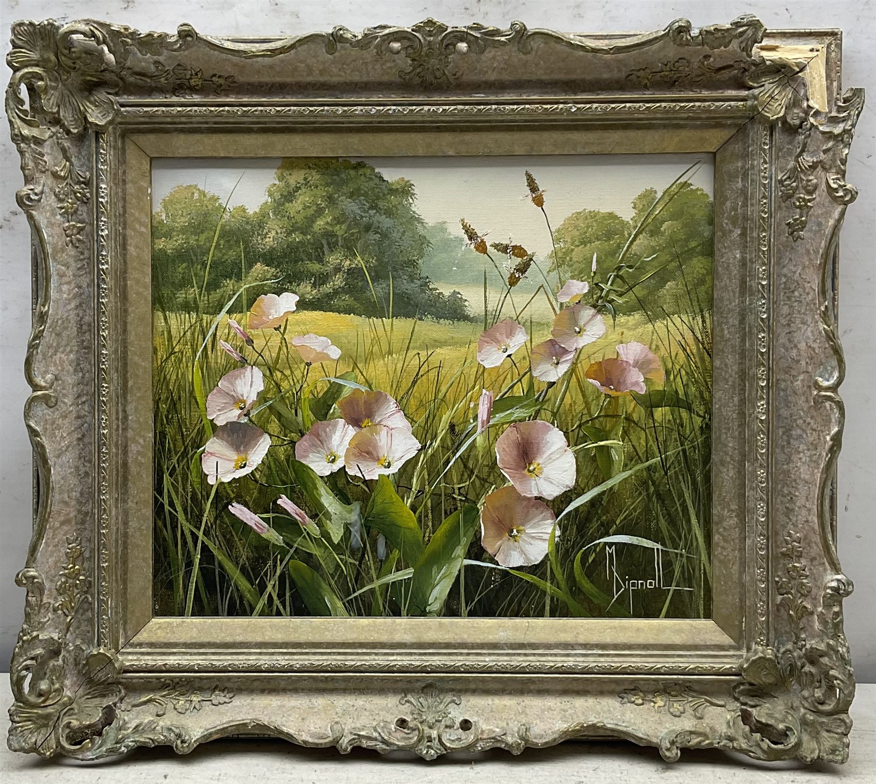 Mary Dipnall (British 1936-): 'Field Bindweed', oil on canvas signed, titled verso 23cm x 29cm 