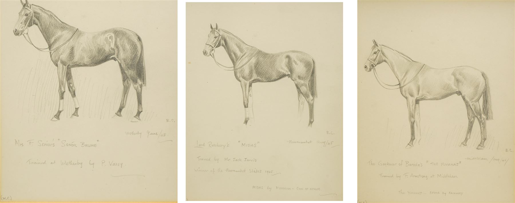 Joseph Appleyard (Yorkshire 1908-1960): Horses 'Midas' 'The Yuvaraj' and 'Senor Brume', set of three preliminary pencil sketches unsigned, variously inscribed 22cm x 17cm (3)