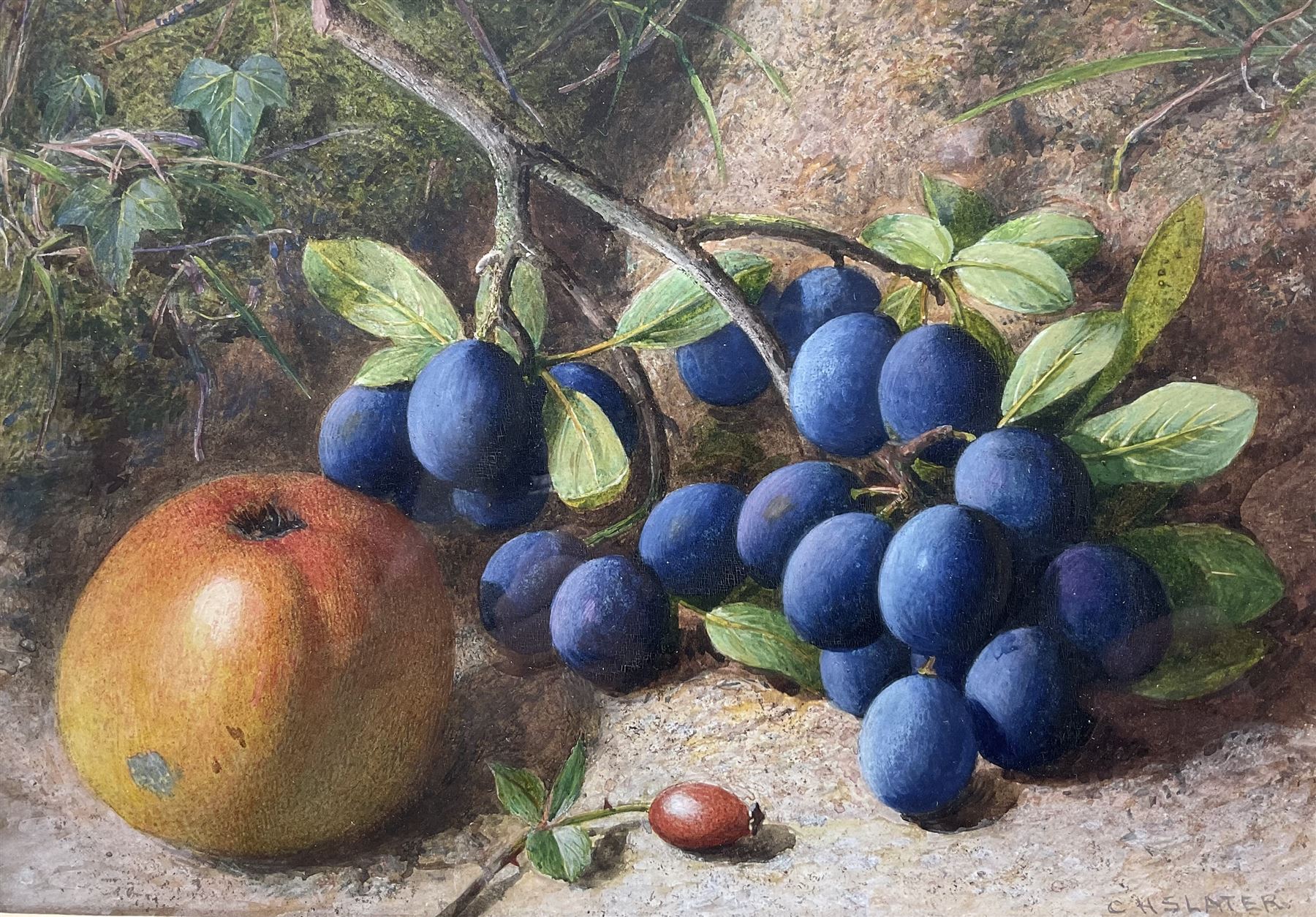 Charles Henry Slater (British 1820-1890): Still Life of Grapes and an Apple, watercolour signed 20cm x 29cm 