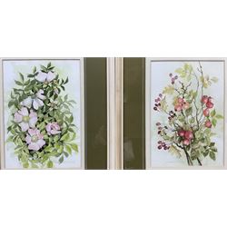 Victoria E Street (British 20th century): 'Sweet Briar' and 'Hips & Haws', pair watercolours signed, titled and dated 1986 on artist's studio labels verso 25cm x 18cm (2)
