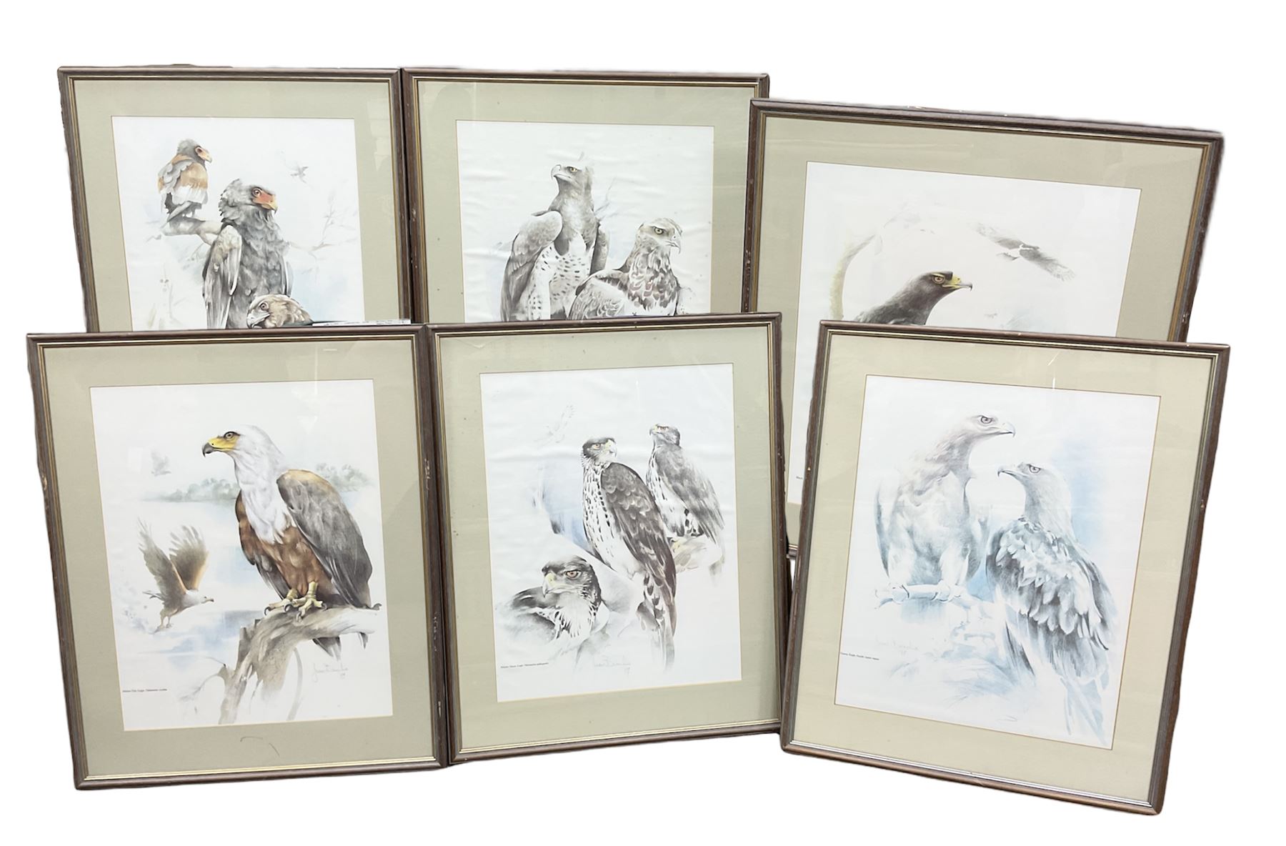 After Joan Beuche (South African 20th century) Eagles, set of six coloured prints (6)