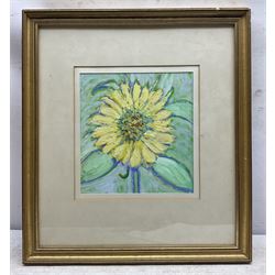 Ian Seymour Wells (British 1937-): Sunflower, oil on board unsigned, dated 1977 verso 22cm x 20cm 
