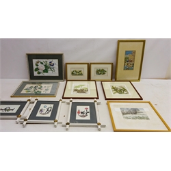  Collection of Still Life of Flowers including Baxter prints by Kronheim, Butterflies and Flowers, two Chinese paintings on rice paper, watercolours, 'Iris', two colour engravings indistinctly signed, Indian Court Scene, gouache unsigned etc max 23cm x 15cm (12)  