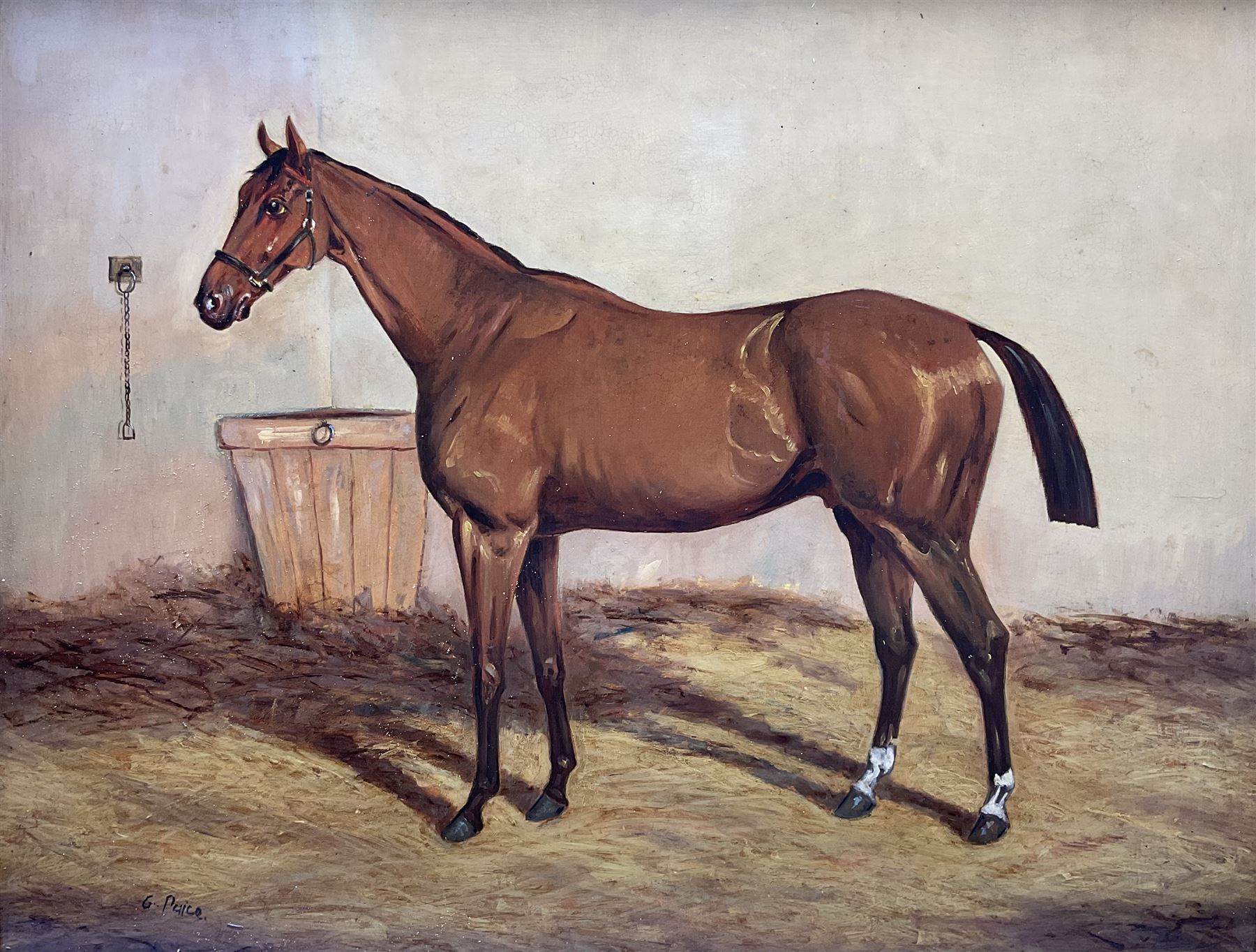 George Paice (British 1854–1925): Portrait of a Hunter in Stable Setting, oil on board signed 39cm x 49cm