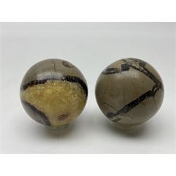 Pair of septarian spheres, polished, with a calcite centre and argonite/siderite lines within limestone rock, D6cm