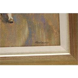 Pat Maclaurin (British 1933-2022): 'Bull Run in Soubes', pastel signed 38cm x 28cm