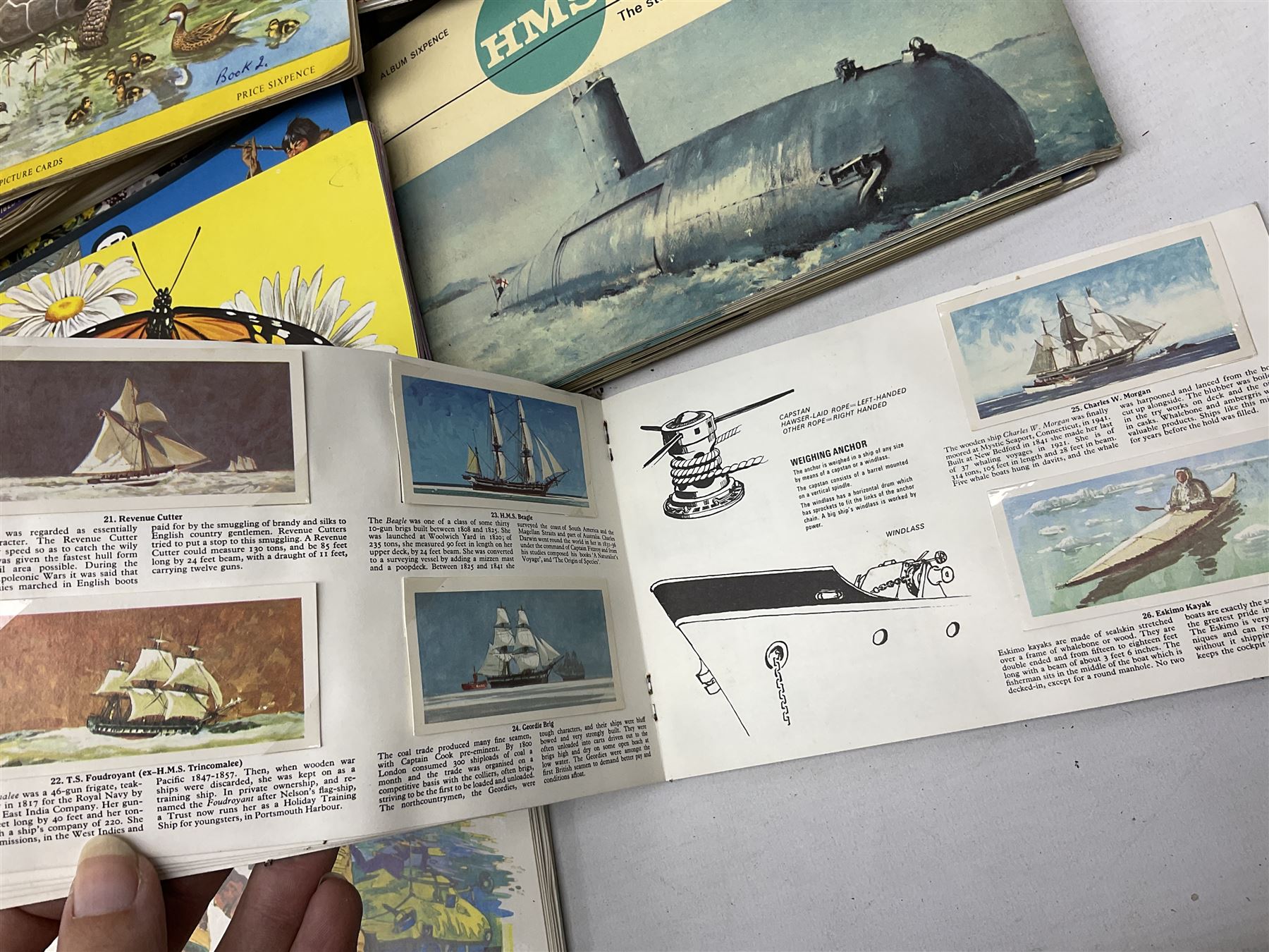 Over eighty trade card albums by Brooke Bond, Lyons, PG Tips, Hornimans, Ty-Phoo etc including some duplicates; and large quantity of loose trade cards