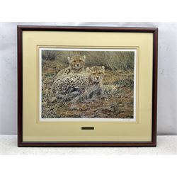 Alan M Hunt (British 1947-): 'Little Princes' - Tiger Cubs, limited edition print signed and numbered 274/450 in pencil 41cm x 56cm; Two Tigers, limited edition monochrome print signed and numbered 593/950 in pencil 20cm x 36cm; together with two further prints of tigers by other artists 23cm x 19cm and 42cm x 53cm (4)