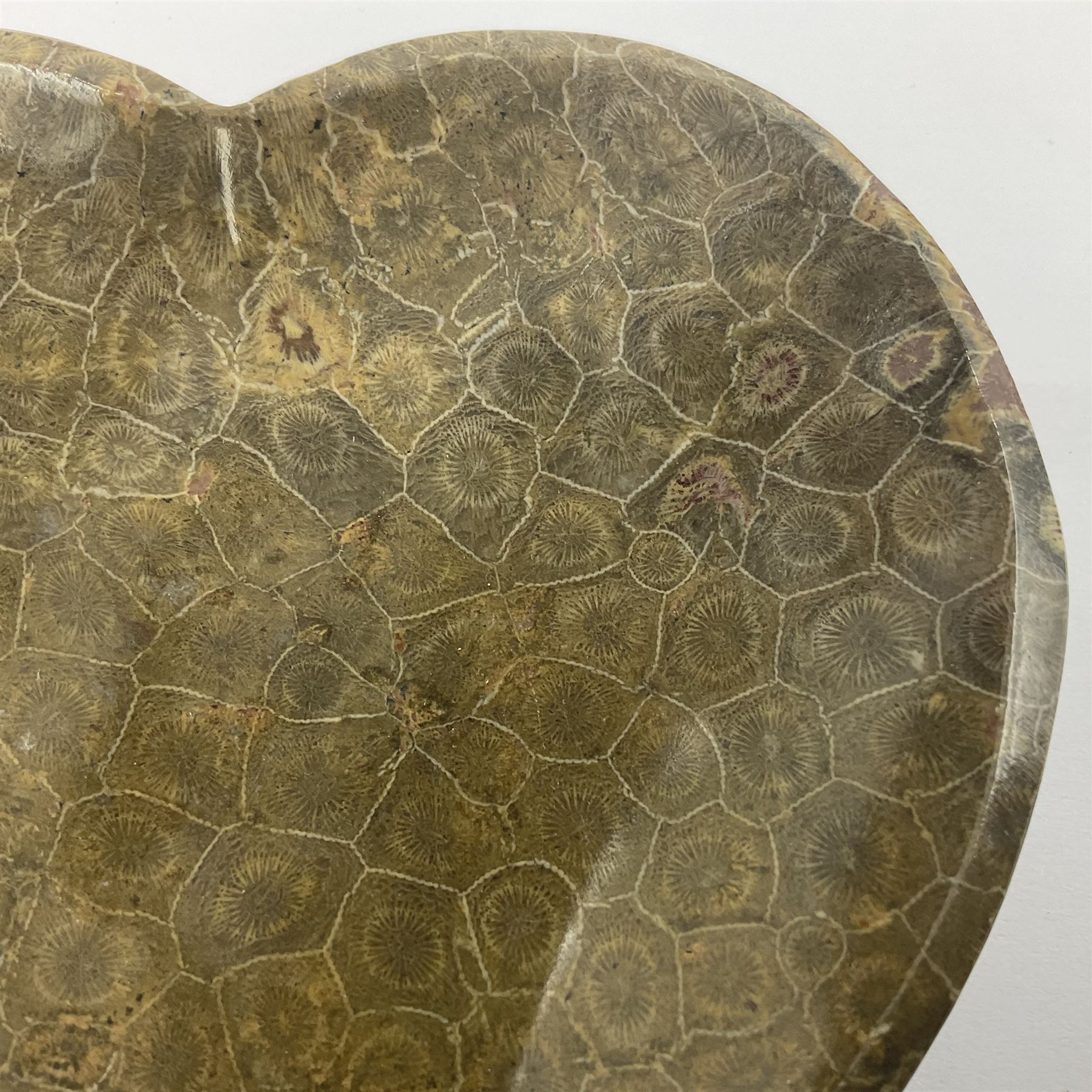 Fossilised coral dish in the form of a heart, D13cm