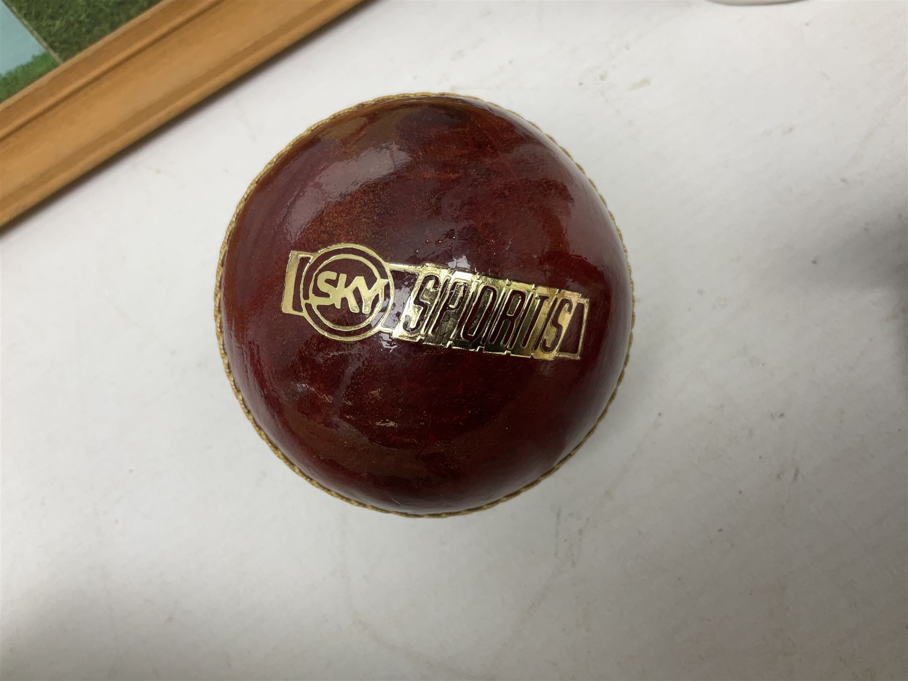 Sondico cricket bat with Yorkshire C.C.C. signatures; framed Lord Taverners v Barclaycard XI programme signed by Colin Milburn, Colin Cowdrey, Roy Kinnear, Nicholas Parsons etc; souvenir Ashes 1994/95 cricket ball; books of cricket interest; tie-pin etc