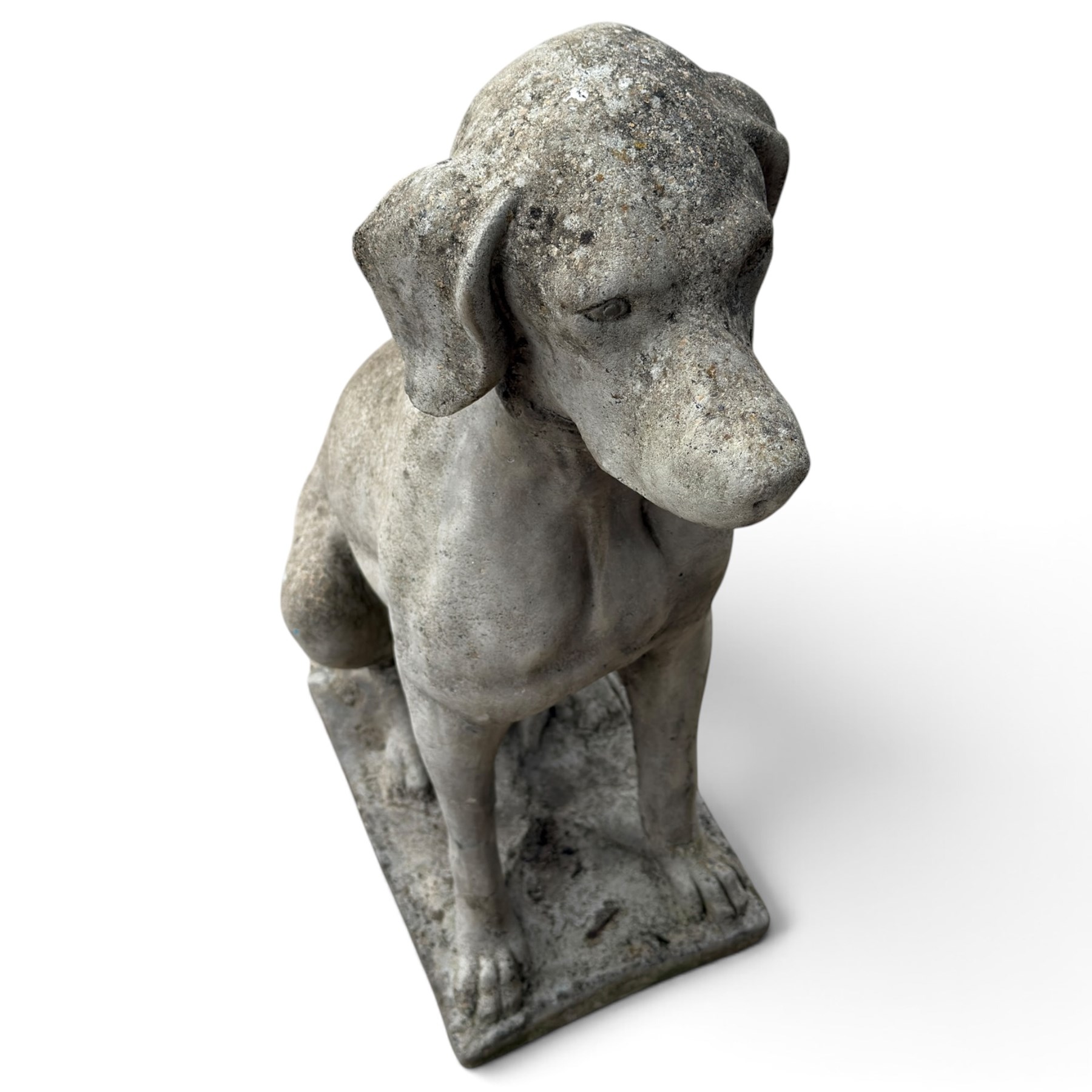 Weathered cast stone garden statue modelled as a seated pointer dog wearing a collar